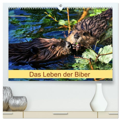 Das Leben der Biber (hochwertiger Premium Wandkalender 2027 DIN A2 quer), Kunstdruck in Hochglanz