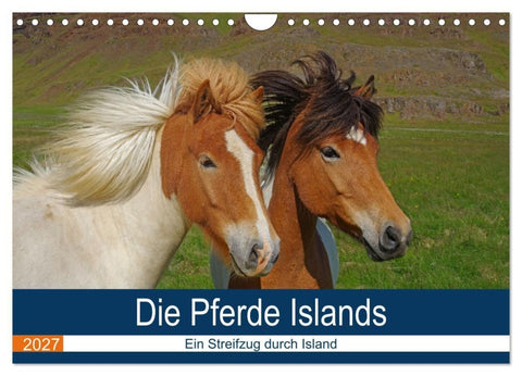 Die Pferde Islands - Ein Streifzug durch Island (Wandkalender 2027 DIN A4 quer), CALVENDO Monatskalender