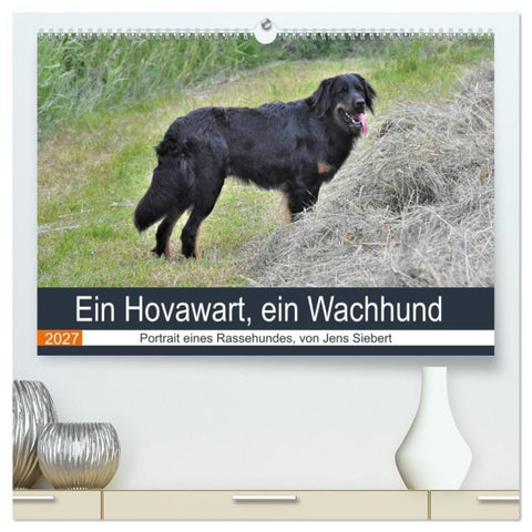 Ein Hovawart, ein Wachhund (hochwertiger Premium Wandkalender 2027 DIN A2 quer), Kunstdruck in Hochglanz