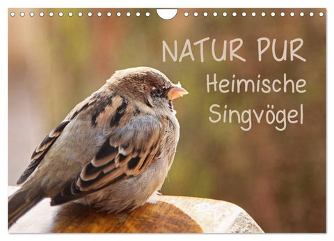 NATUR PUR Heimische Singvögel (Wandkalender 2027 DIN A4 quer), CALVENDO Monatskalender