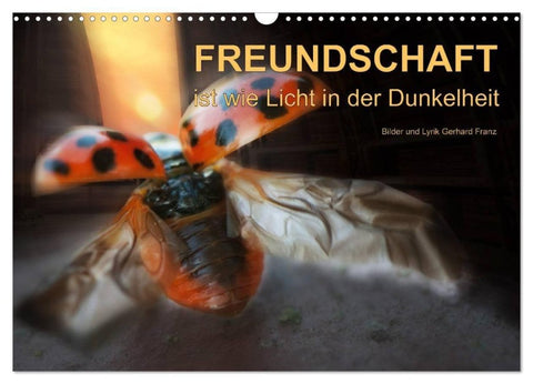 Freundschaft (Wandkalender 2027 DIN A3 quer), CALVENDO Monatskalender