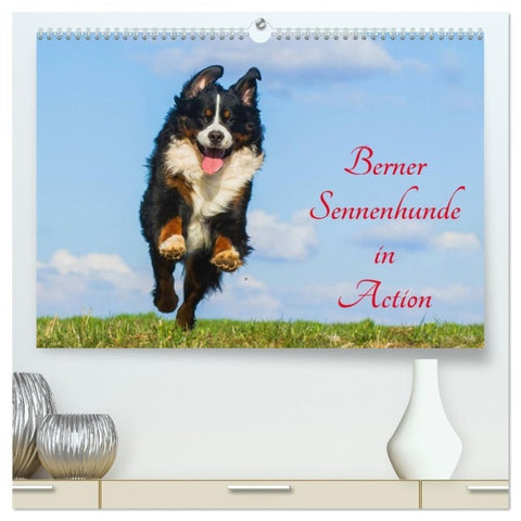 Berner Sennenhunde in Action (hochwertiger Premium Wandkalender 2027 DIN A2 quer), Kunstdruck in Hochglanz