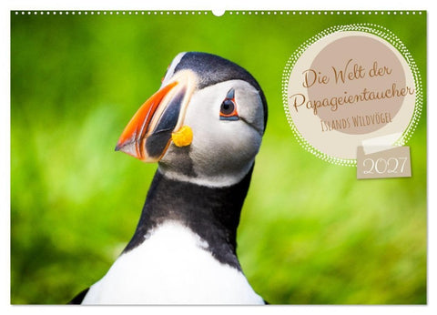 Die Welt der Papageientaucher - Islands Wildvögel (Wandkalender 2027 DIN A2 quer), CALVENDO Monatskalender