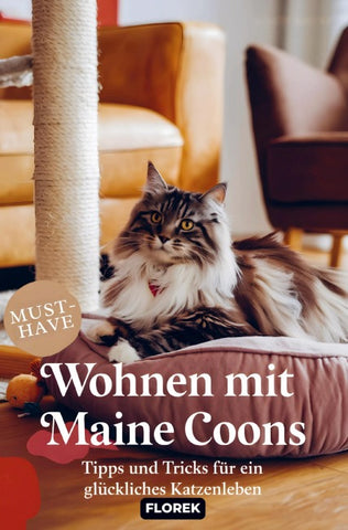 Wohnen mit Maine Coons