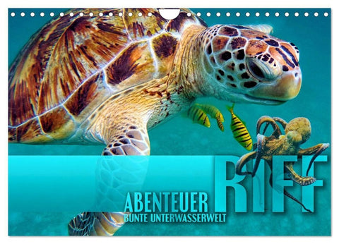 Abenteuer Riff - bunte Unterwasserwelt (Wandkalender 2027 DIN A4 quer), CALVENDO Monatskalender