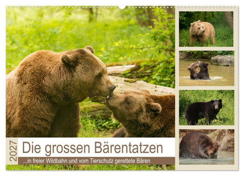 Die grossen Bärentatzen (Wandkalender 2027 DIN A2 quer), CALVENDO Monatskalender