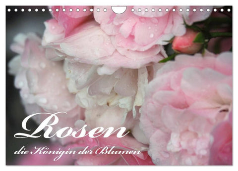 Rosen, die Königin der Blumen (Wandkalender 2027 DIN A4 quer), CALVENDO Monatskalender