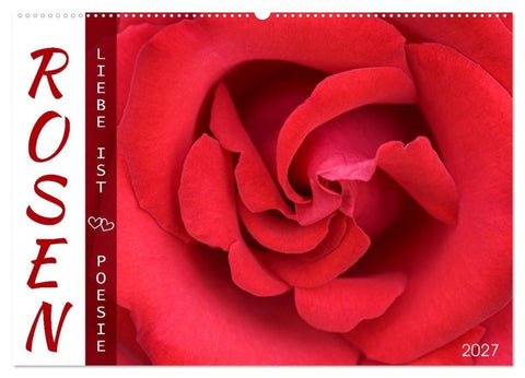 Rosen, Liebe ist (Wandkalender 2027 DIN A2 quer), CALVENDO Monatskalender