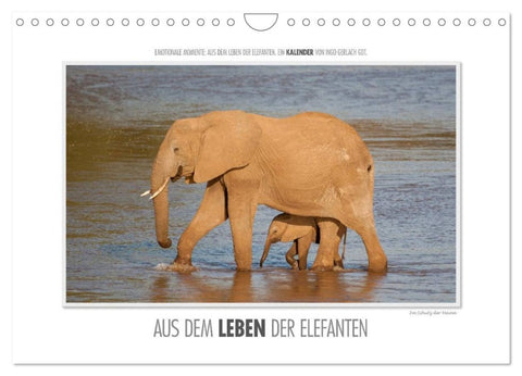 Emotionale Momente: Aus dem Leben der Elefanten. / CH-Version (Wandkalender 2026 DIN A4 quer), CALVENDO Monatskalender