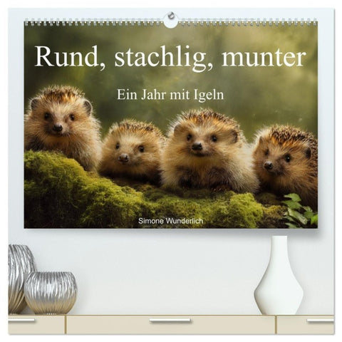 Rund, stachlig, munter - Ein Jahr mit Igeln (hochwertiger Premium Wandkalender 2027 DIN A2 quer), Kunstdruck in Hochglanz