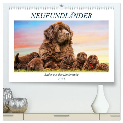 Neufundländer - Bilder aus der Kinderstube (hochwertiger Premium Wandkalender 2027 DIN A2 quer), Kunstdruck in Hochglanz