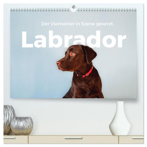 Labrador - Der Vierbeiner in Szene gesetzt. (hochwertiger Premium Wandkalender 2027 DIN A2 quer), Kunstdruck in Hochglanz