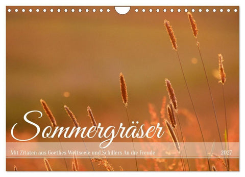 Sommergräser (Wandkalender 2027 DIN A4 quer), CALVENDO Monatskalender