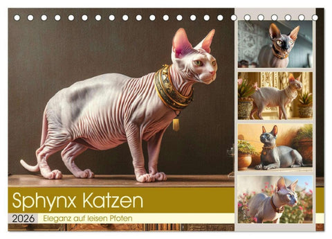 Sphinx Katzen. Eleganz auf leisen Pfoten (Tischkalender 2026 DIN A5 quer), CALVENDO Monatskalender