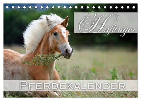 Haflinger / Geburtstagskalender (Tischkalender 2026 DIN A5 quer), CALVENDO Monatskalender