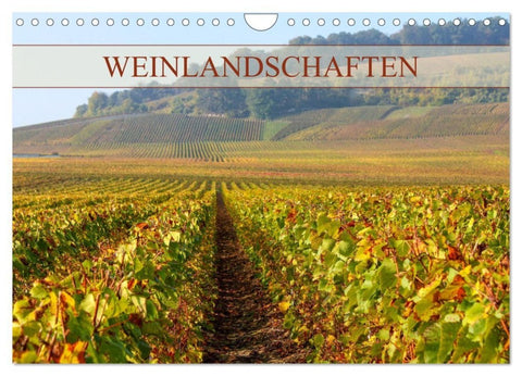 Weinlandschaften (Wandkalender 2027 DIN A4 quer), CALVENDO Monatskalender