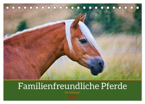 Familienfreundliche Pferde (Tischkalender 2027 DIN A5 quer), CALVENDO Monatskalender