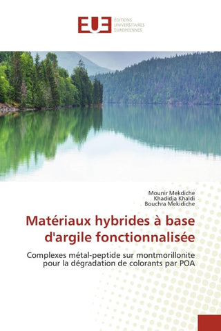 Matériaux hybrides à base d'argile fonctionnalisée