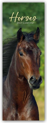 Horses – Pferde – Slimline-Kalender 2027