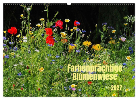 Farbenprächtige Blumenwiese (Wandkalender 2027 DIN A2 quer), CALVENDO Monatskalender