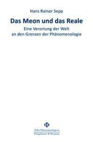 Das Meon und das Reale