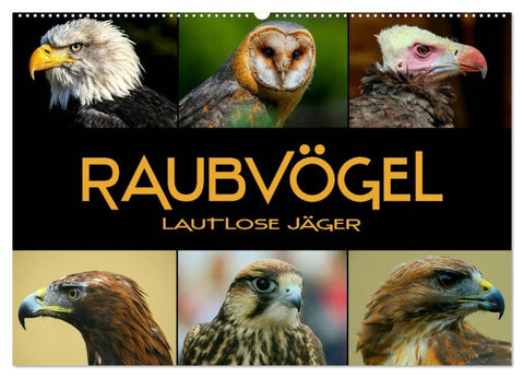 Raubvögel - lautlose Jäger (Wandkalender 2027 DIN A2 quer), CALVENDO Monatskalender