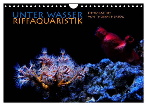UNTER WASSER Riffaquaristik (Wandkalender 2026 DIN A4 quer), CALVENDO Monatskalender