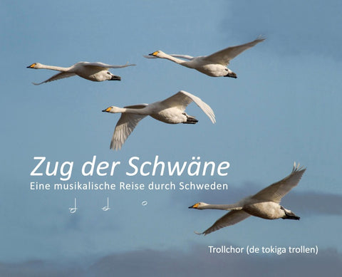 Zug der Schwäne