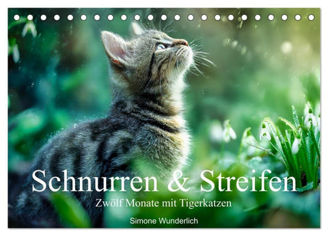 Schnurren & Streifen - Zwölf Monate mit Tigerkatzen (Tischkalender 2027 DIN A5 quer), CALVENDO Monatskalender