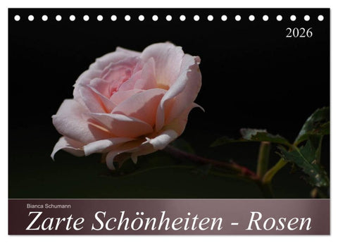 Zarte Schönheiten - Rosen (Tischkalender 2026 DIN A5 quer), CALVENDO Monatskalender