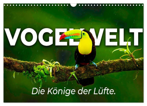 Vogelwelt - Die Könige der Lüfte. (Wandkalender 2027 DIN A3 quer), CALVENDO Monatskalender