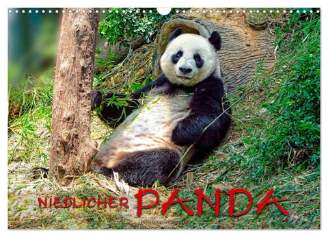 Niedlicher Panda (Wandkalender 2026 DIN A3 quer), CALVENDO Monatskalender