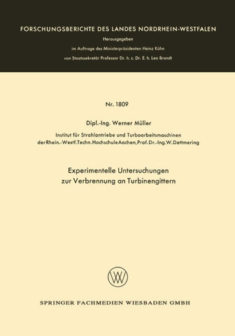 Experimentelle Untersuchungen zur Verbrennung an Turbinengittern