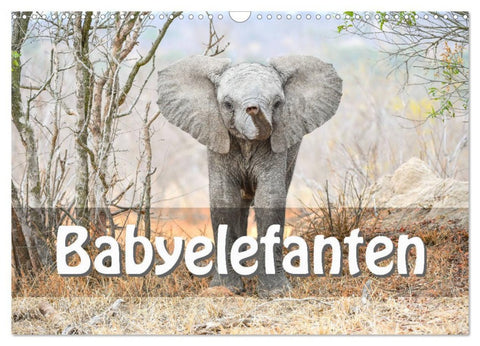 Babyelefanten (Wandkalender 2026 DIN A3 quer), CALVENDO Monatskalender