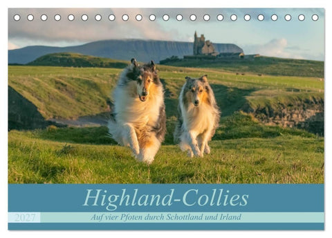 Highland-Collies - Auf vier Pfoten durch Schottland und Irland (Tischkalender 2027 DIN A5 quer), CALVENDO Monatskalender