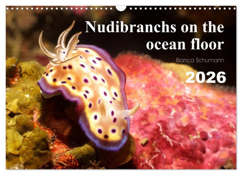 Nudibranchs on the ocean floor (Wall Calendar 2026 DIN A3 landscape), CALVENDO 12 Month Wall Calendar
