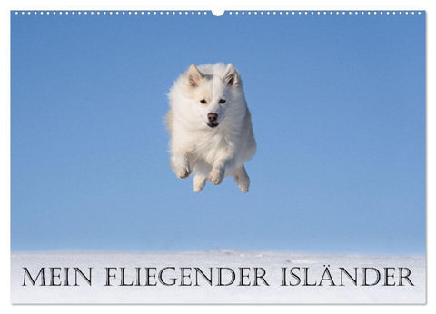Mein fliegender Isländer (Wandkalender 2026 DIN A2 quer), CALVENDO Monatskalender