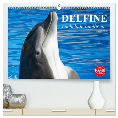 Delfine - Lächelnde Intelligenz (hochwertiger Premium Wandkalender 2026 DIN A2 quer), Kunstdruck in Hochglanz