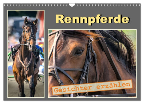 Rennpferde - Gesichter erzählen (Wandkalender 2026 DIN A3 quer), CALVENDO Monatskalender