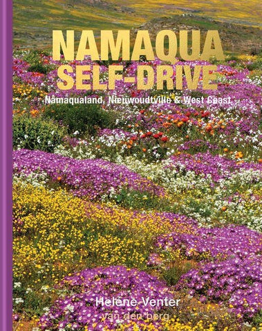 Namaqualand Self-Drive
