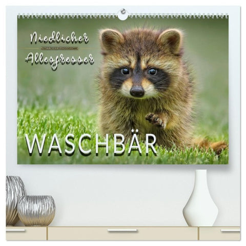 Waschbär - Niedlicher Allesfresser (hochwertiger Premium Wandkalender 2027 DIN A2 quer), Kunstdruck in Hochglanz