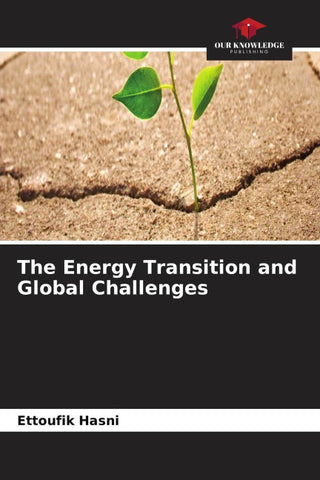 The Energy Transition and Global Challenges