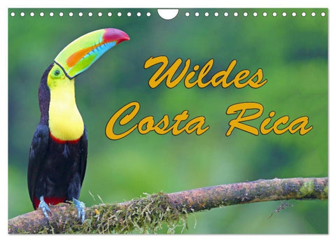 Wildes Costa Rica (Wandkalender 2027 DIN A4 quer), CALVENDO Monatskalender