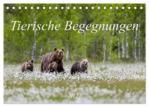 Tierische Begegnungen (Tischkalender 2027 DIN A5 quer), CALVENDO Monatskalender