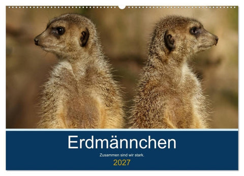 Erdmännchen - Zusammen sind wir stark (Wandkalender 2027 DIN A2 quer), CALVENDO Monatskalender