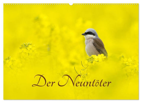 Der Neuntöter (Wandkalender 2026 DIN A2 quer), CALVENDO Monatskalender