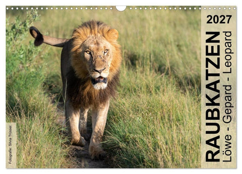 Raubkatzen - Löwe, Gepard, Leopard (Wandkalender 2027 DIN A3 quer), CALVENDO Monatskalender