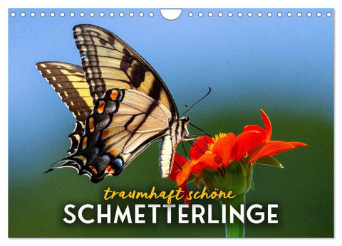 Traumhaft schöne Schmetterlinge (Wandkalender 2027 DIN A4 quer), CALVENDO Monatskalender