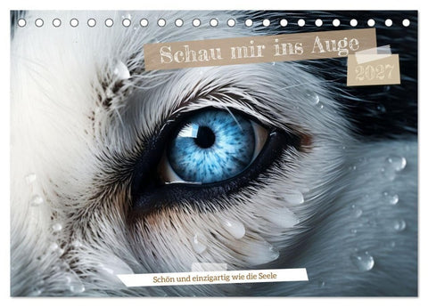 Schau mir ins Auge (Tischkalender 2027 DIN A5 quer), CALVENDO Monatskalender