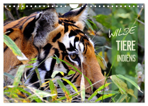 Wilde Tiere Indiens (Wandkalender 2026 DIN A4 quer), CALVENDO Monatskalender